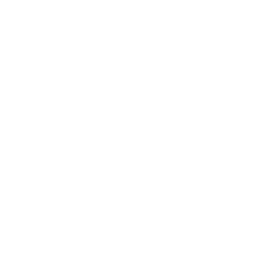 feature-item-3