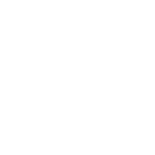 feature-item-1